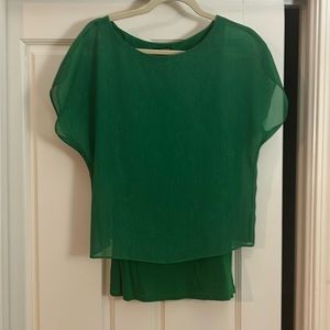 Green top with sparkly overlay with longer top underneath.